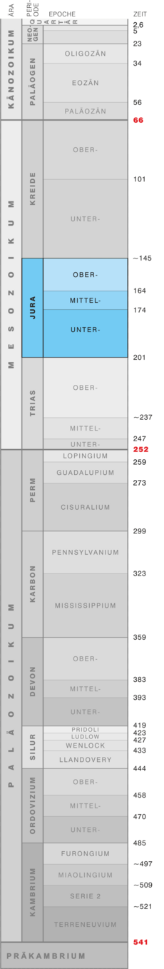 Grafik